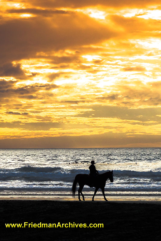 silhouette,sunset,orange,clouds,sky,ocean,beach,horse,horseback,riding,peaceful,hobby,nature,harmony,